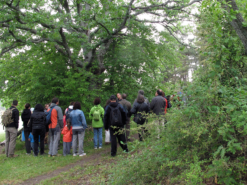 Una de las excursiones organizadas por el Ceneam en la zona de San Ildefonso./ E.A.