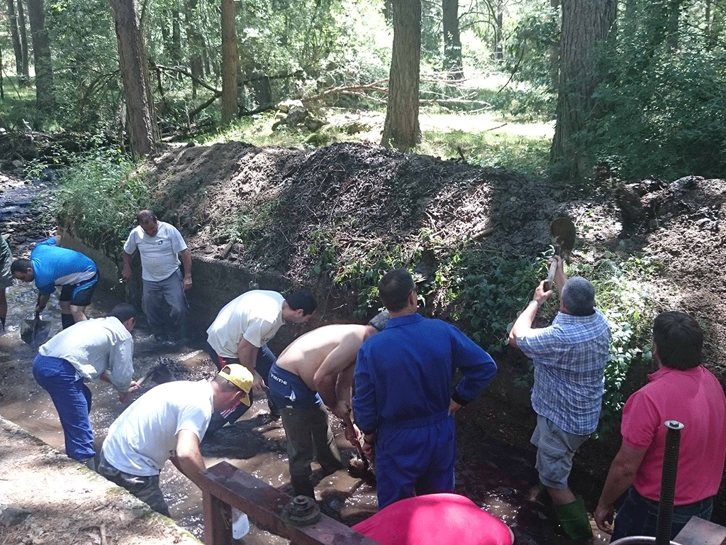 ‘Limpieza’ del cauce del arroyo de San Medel en Bernuy de Porreros el año 2016. / E. A.