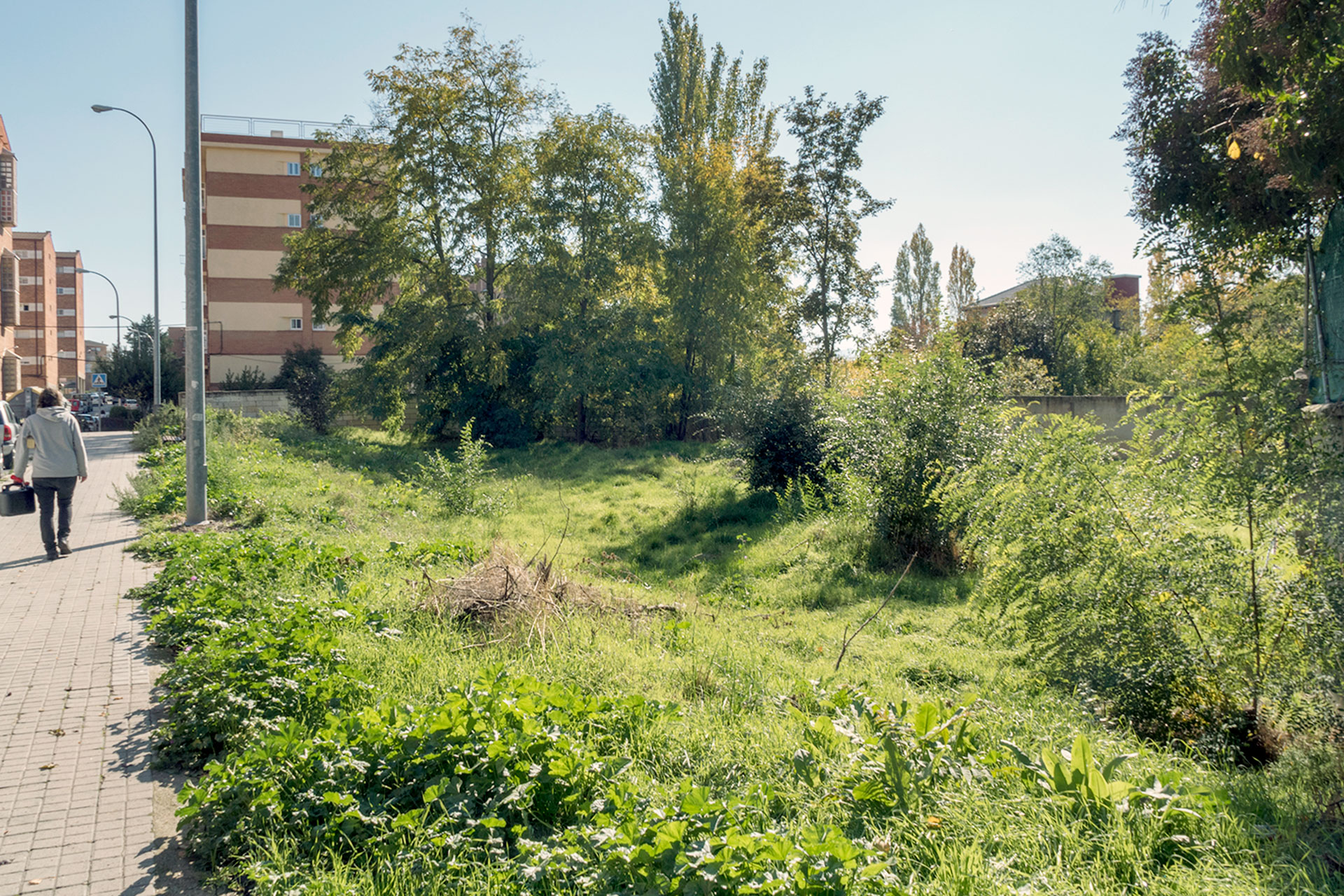 La ordenación del sector modificará sensiblemente una de las zonas más emblemáticas del barrio de La Albuera. / KAMARERO