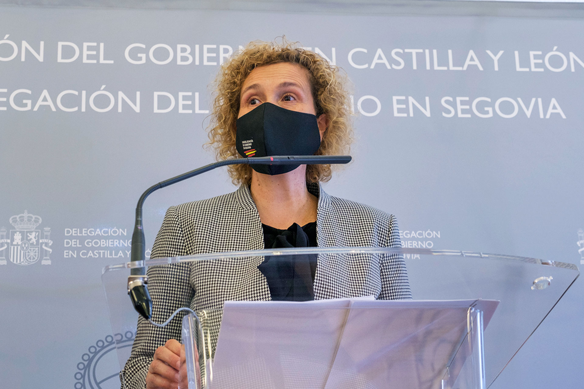 La subdelegada del Gobierno en Segovia, Lirio Martín, durante una comparecencia. / KAMARERO