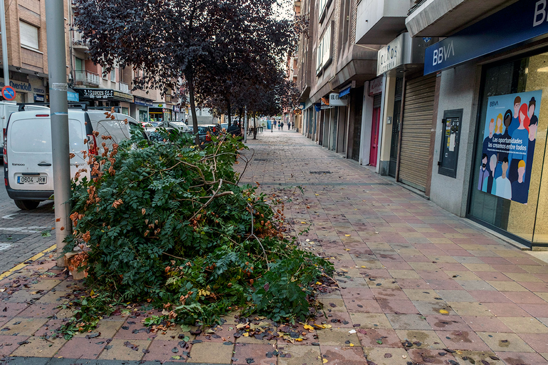 Vista de una zona de arboleda en Segovia. / KAMARERO