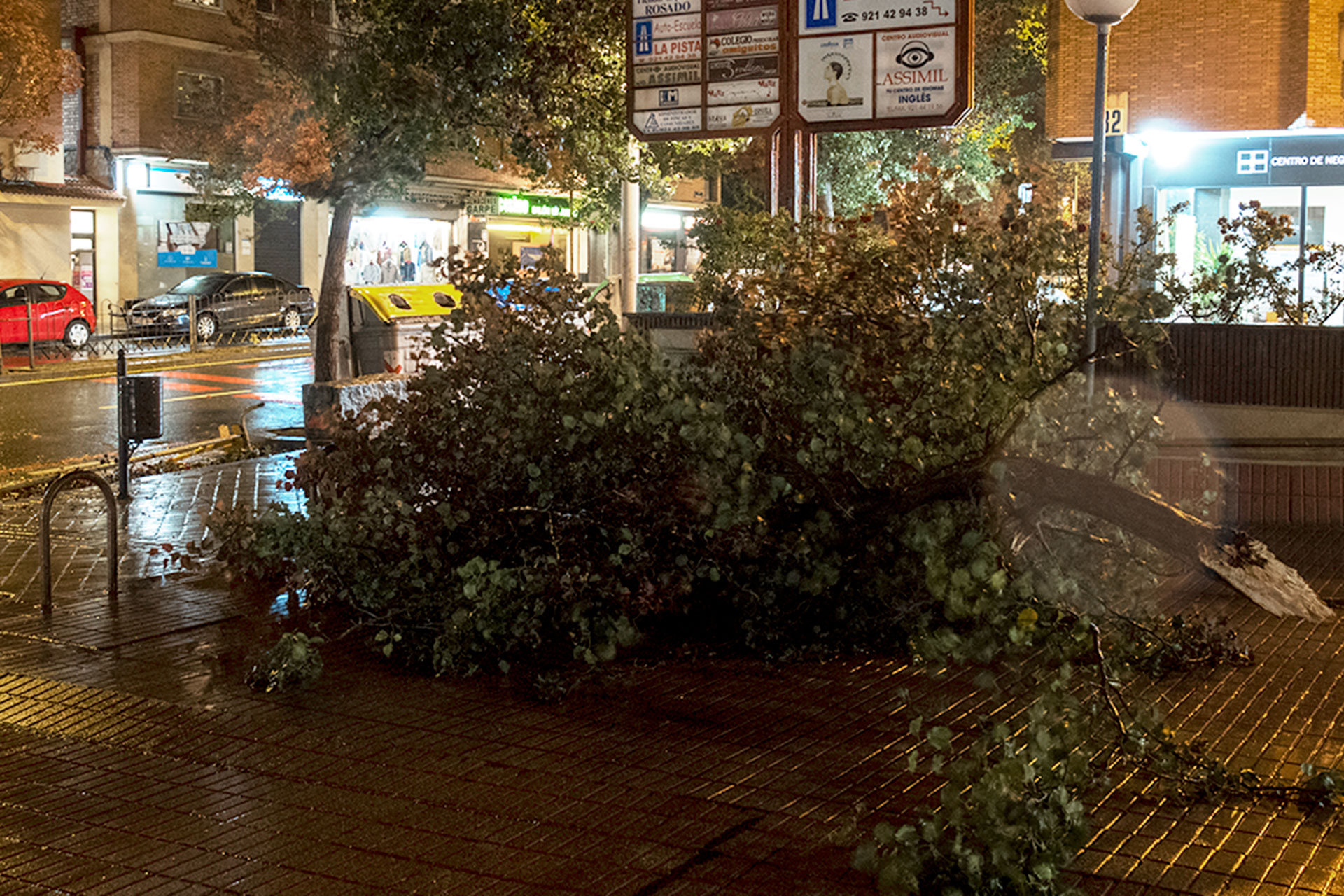Los Bomberos recibieron un aviso por un árbol caído. / KAMARERO