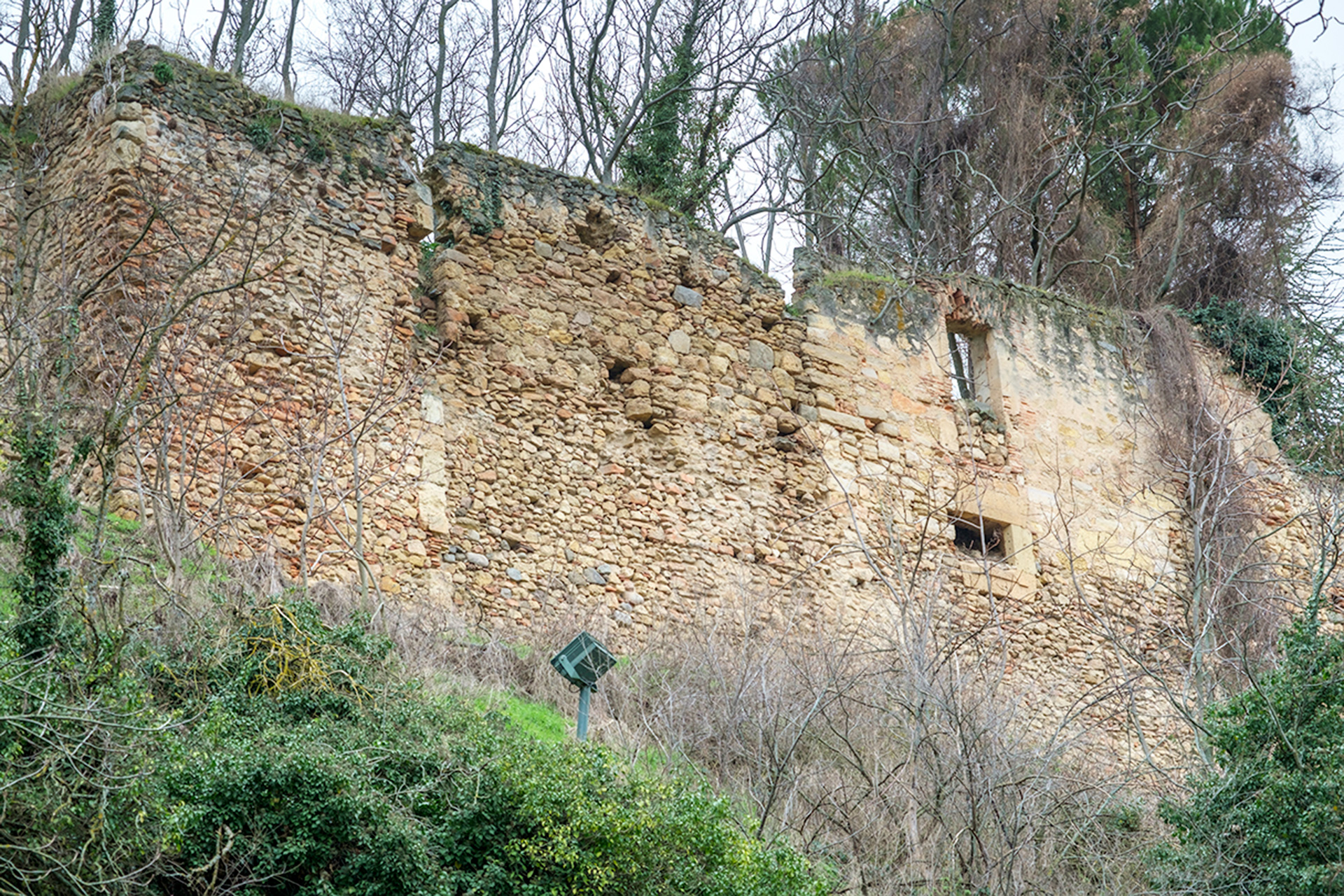 Uno de los tramos de la Muralla de Segovia en peor estado, debido en parte a la vegetación. / KAMARERO