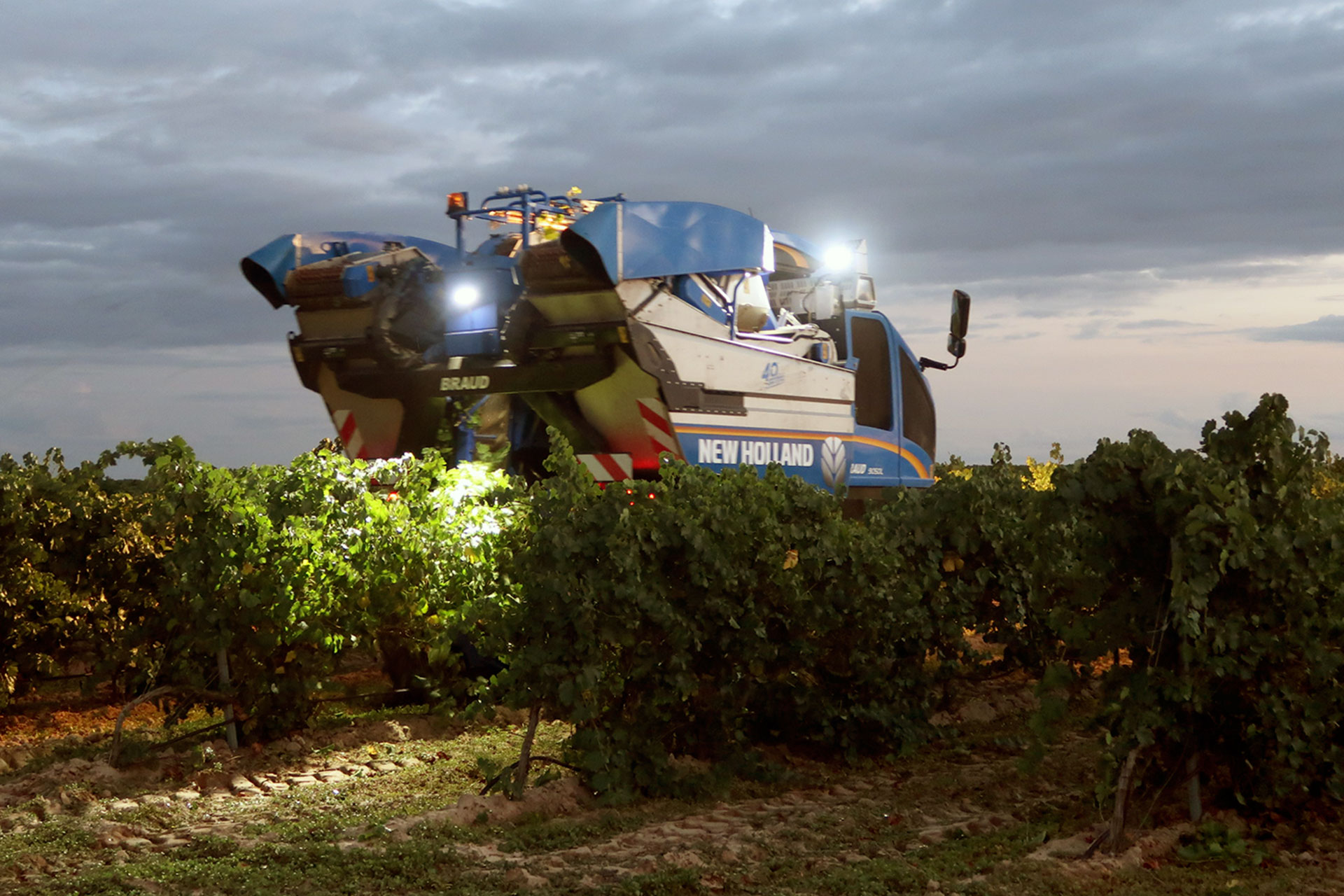 18 1 Vendimia DO Rueda