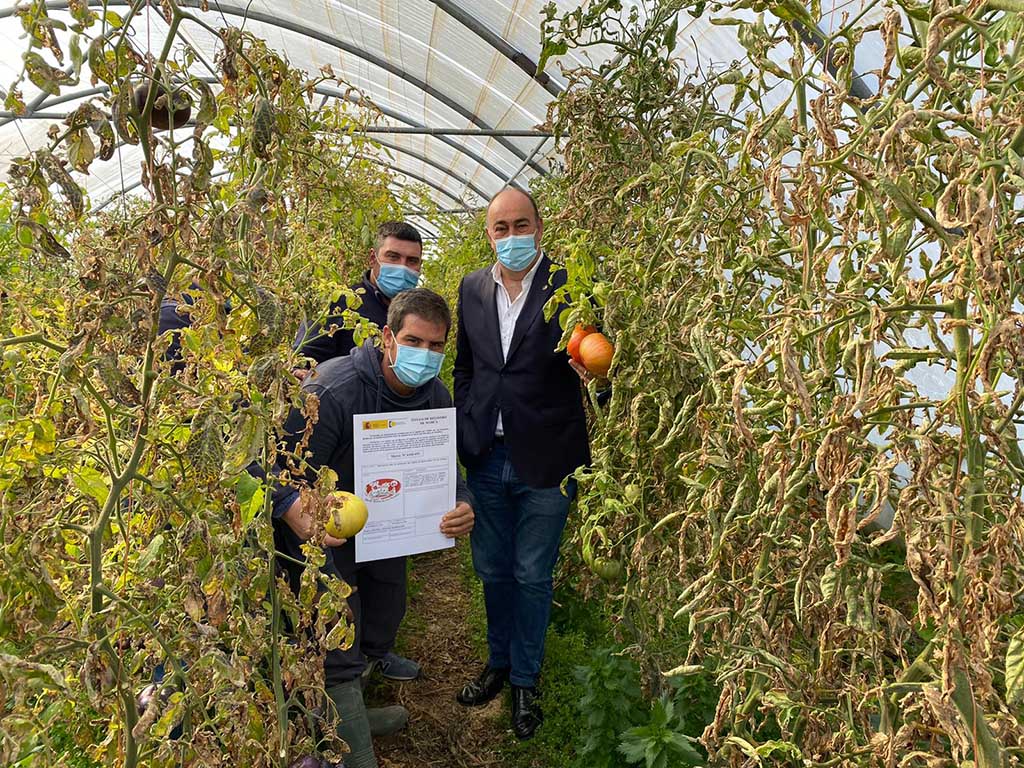 Visita a algunos de los terrenos en los que se han recogido los tomates. / E.A