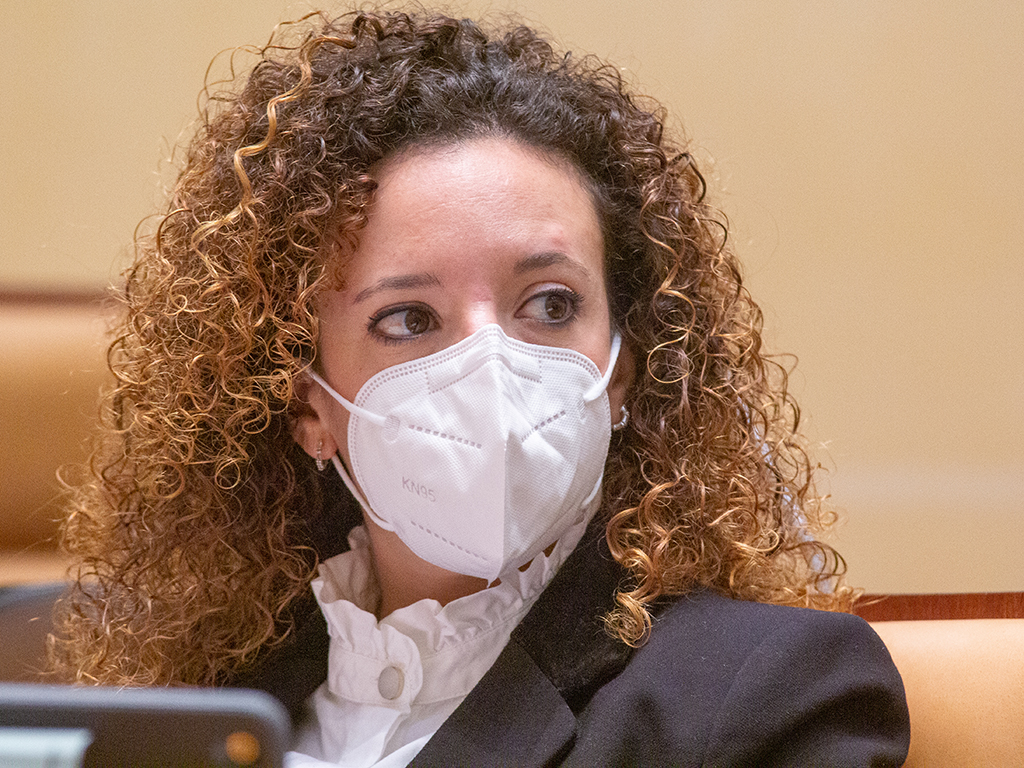 Noemí Otero, portavoz de Ciudadanos, en un pleno del Ayuntamiento de Segovia. / Nerea Llorente