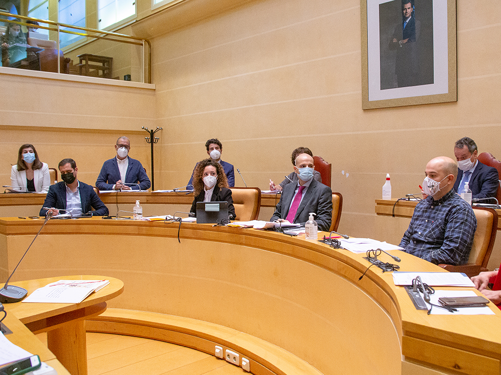 Ángel Galindo, a la derecha, interviene durante la mañana de ayer en el salón de Plenos. / NEREA LLORENTE