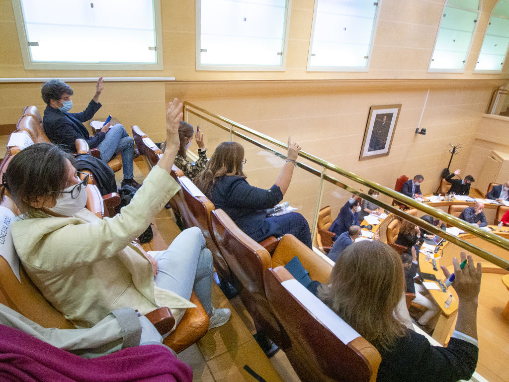 Varios concejales votan desde la tribuna una de las mociones. / Nerea Llorente