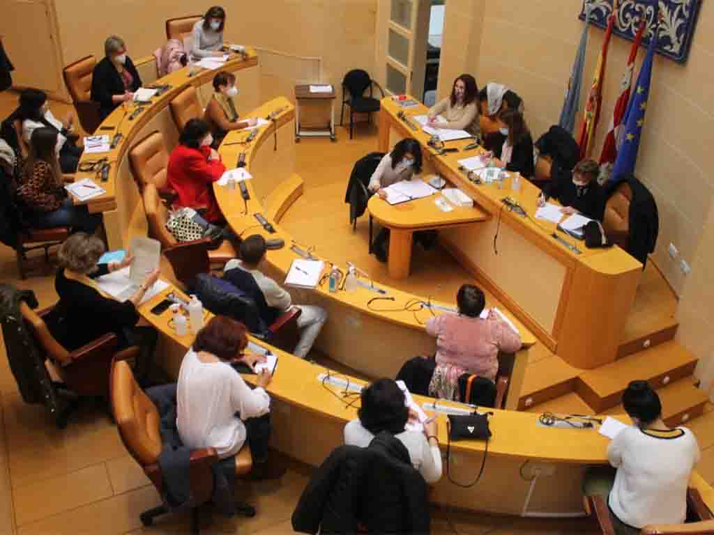 Consejo sectorial de la Mujer. / EL ADELANTADO