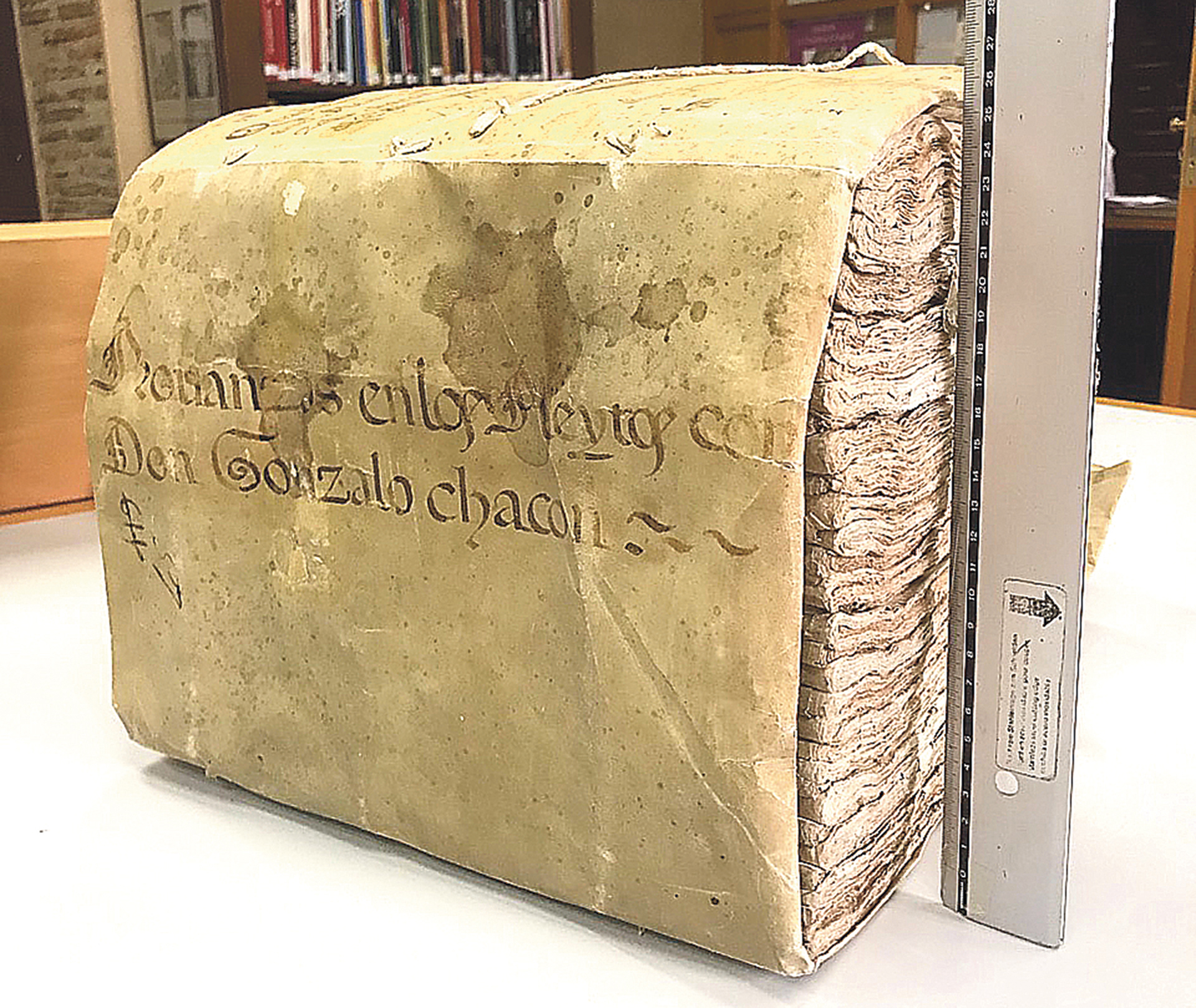 «Quaderno de provanças» de los pleitos que Segovia mantuvo con los Chacón, señores/condes de Casarrubios del Monte. Foto del autor.