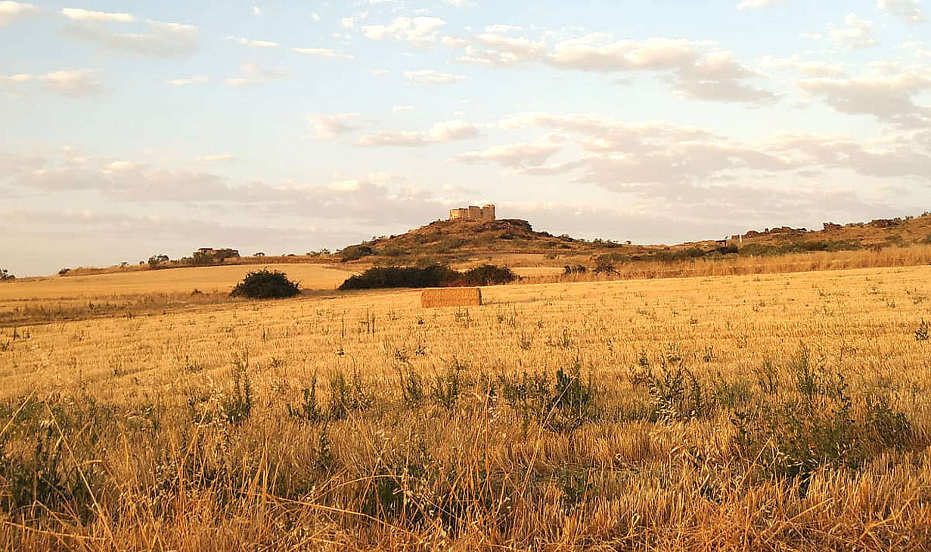 Migueláñez. Moisés Migueláñez Gómez