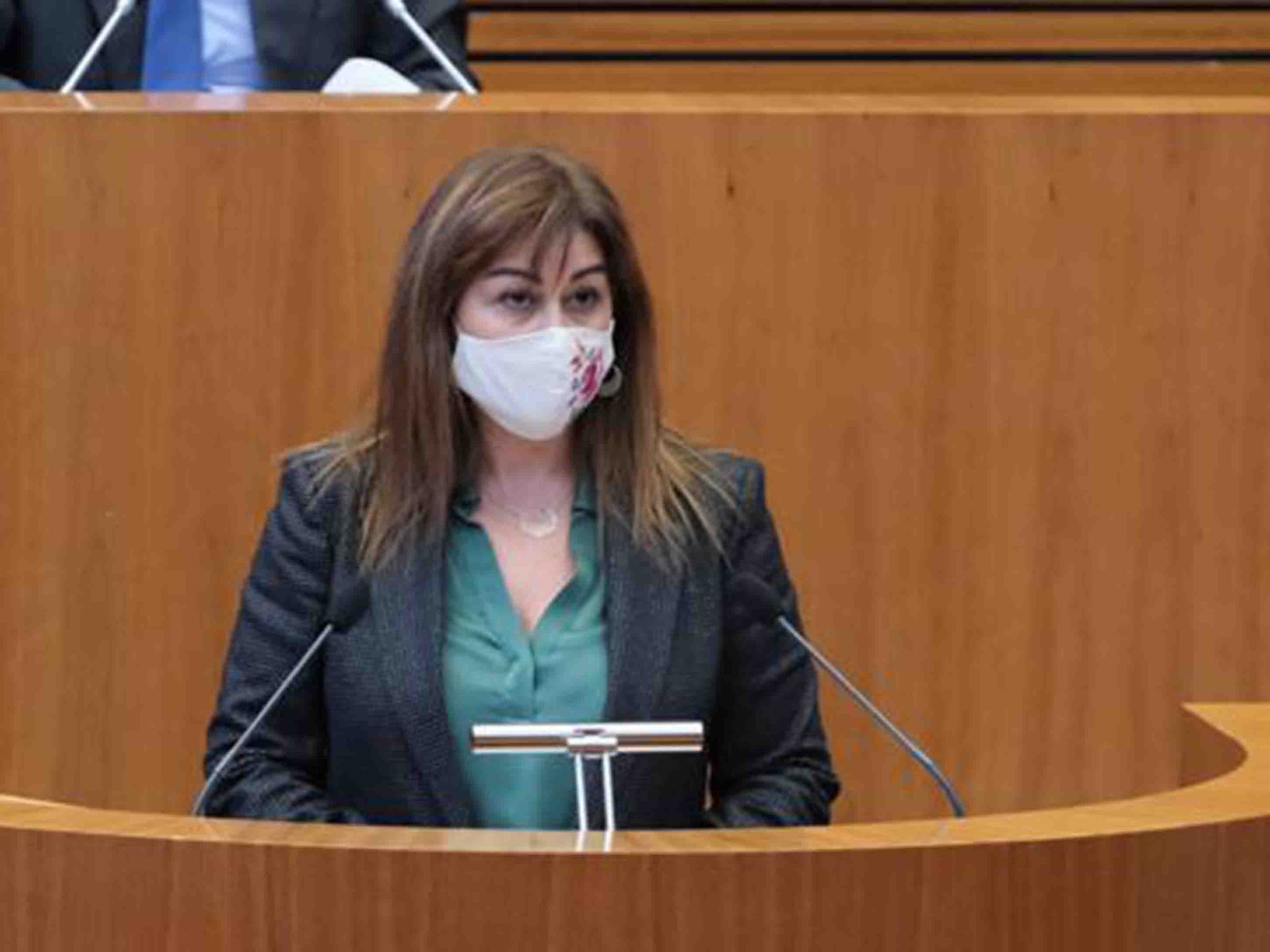 La procuradora de Ciudadanos de Segovia, Marta Sanz, en las Cortes. / EL ADELANTADO