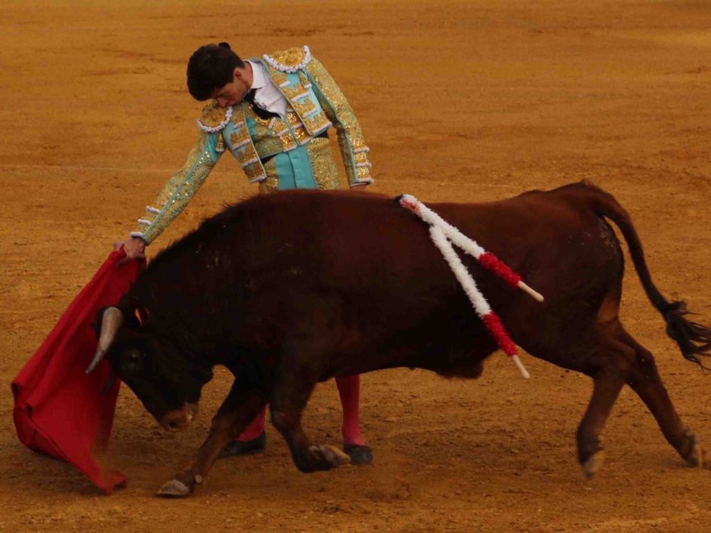 sergio rodriguez web