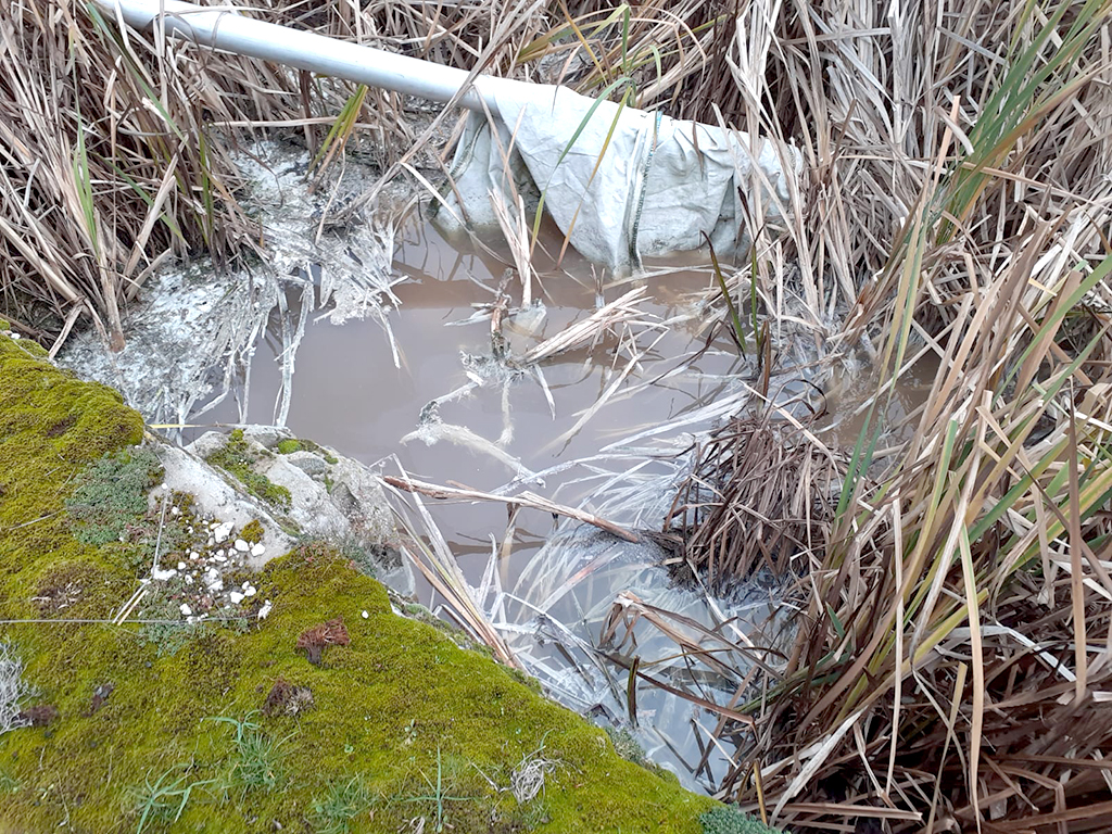 Aspecto que presenta el agua de uno de los arroyos, a su paso por la localidad. /E.A.
