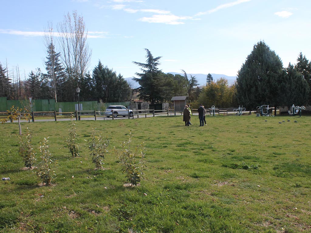 El Ayuntamiento planta siete árboles y 35 plantas arbustivas en Zamarramala. / E.A