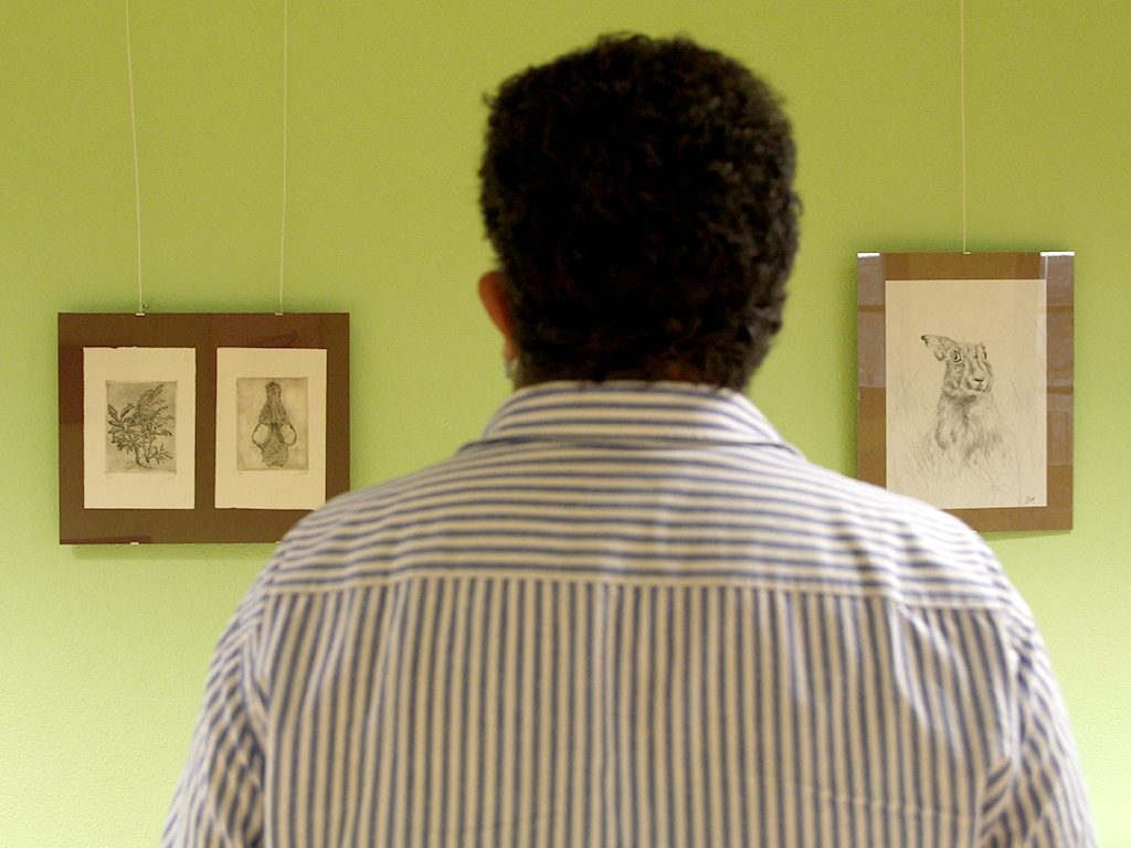 La muestra puede verse en la sala del Paseo de San Juan de la Cruz hasta el 27 de noviembre. /NEREA LLORENTE