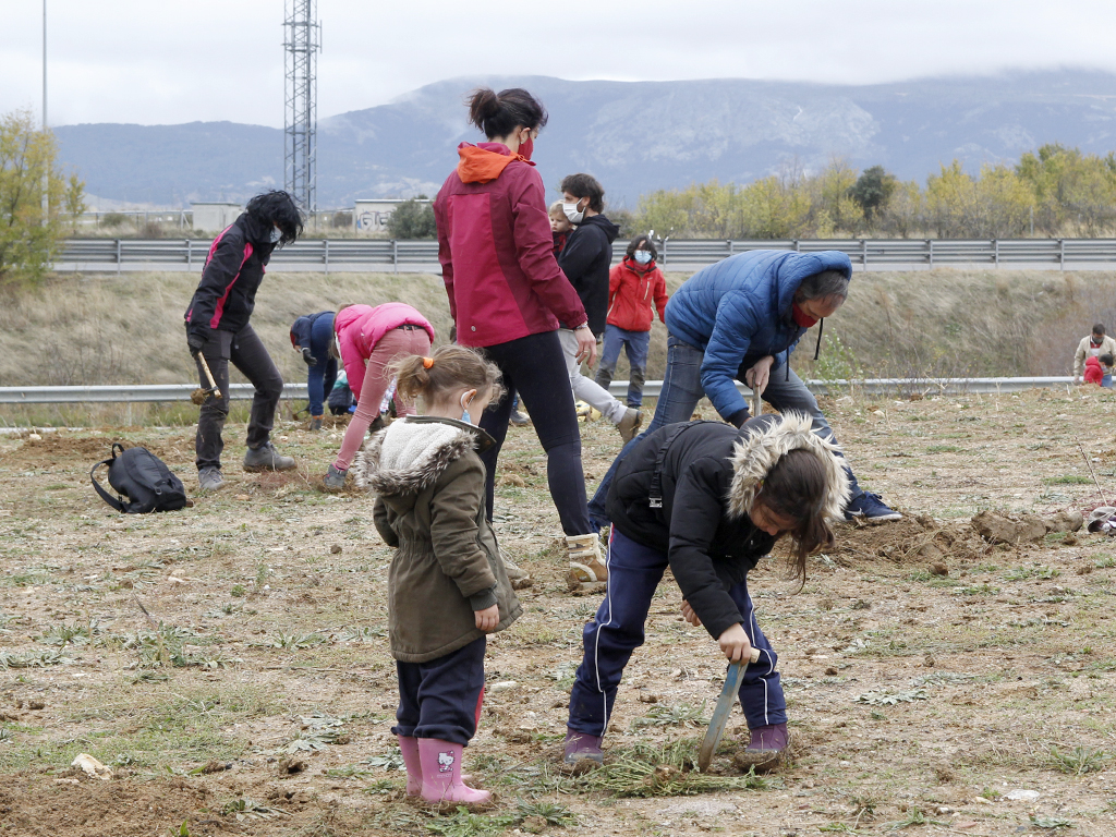 Que el polígono no impida ver el bosque 2 7 1 plantacion arboles hontoria