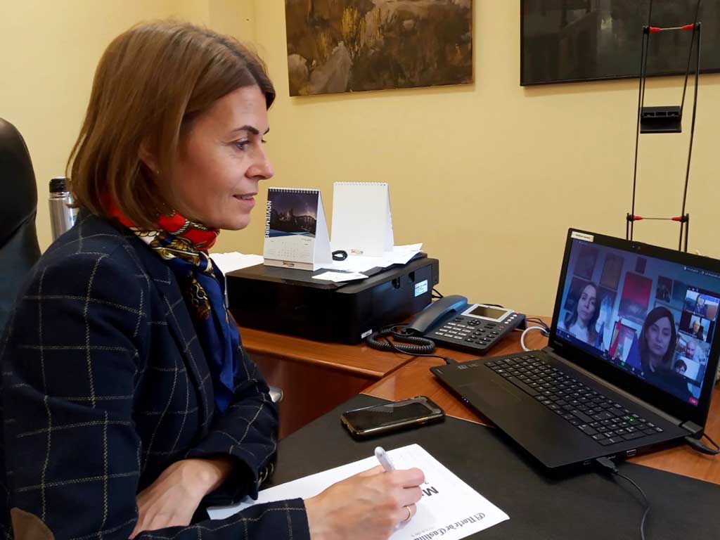 Reunión telemática sobre la exposición de Zuloaga en Estonia. / EL ADELANTADO