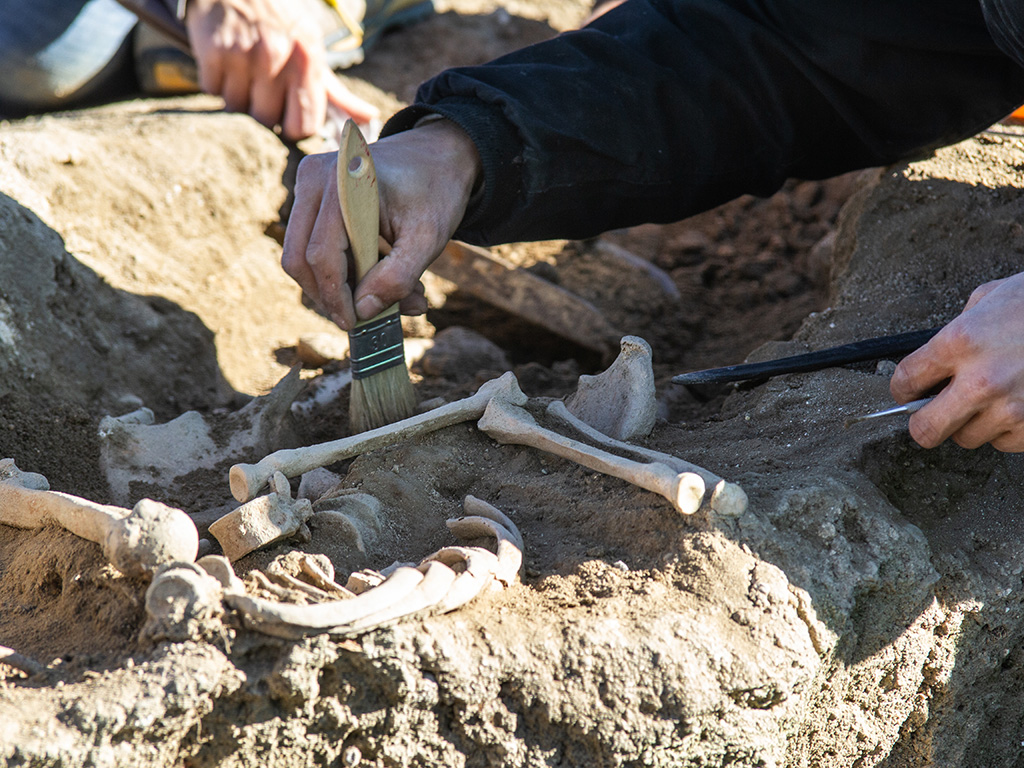 Un arqueólogo limpia los restos óseos en una parcela de Trescasas. / NEREA LLORENTE