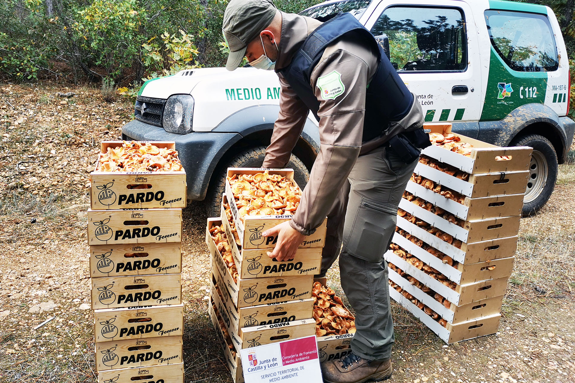 Un agente medioambiental de la Junta, con un cargamento decomisado a una banda pirata. / E.A