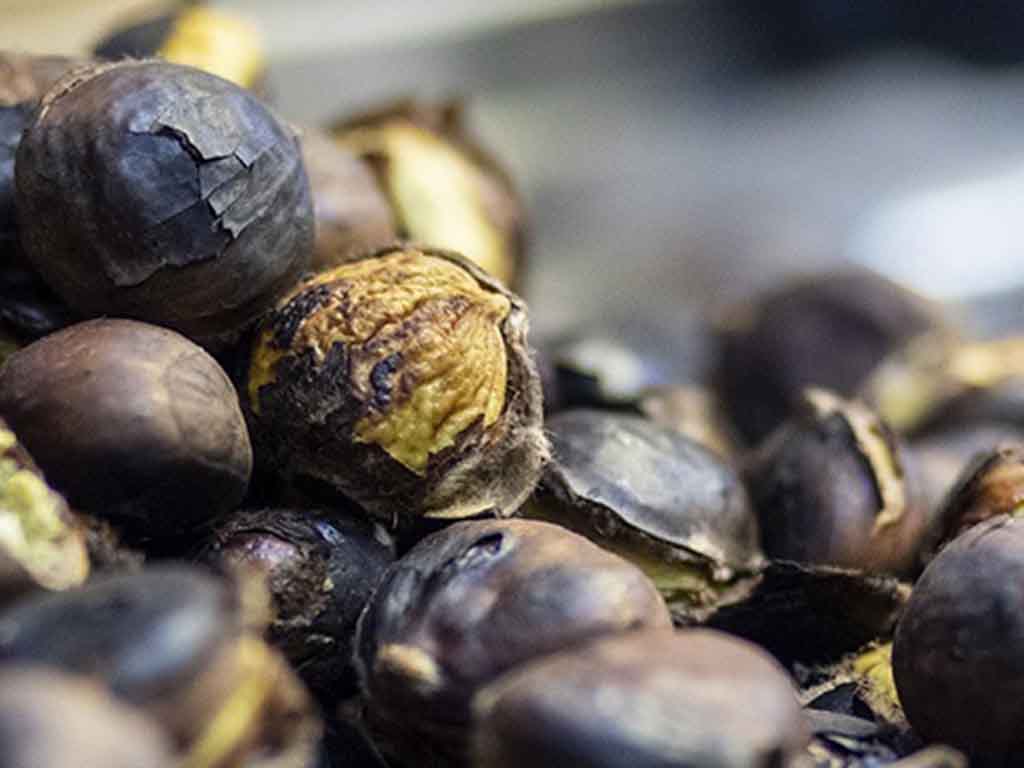 Castañas asadas. / EFE-Rodrigo Jiménez