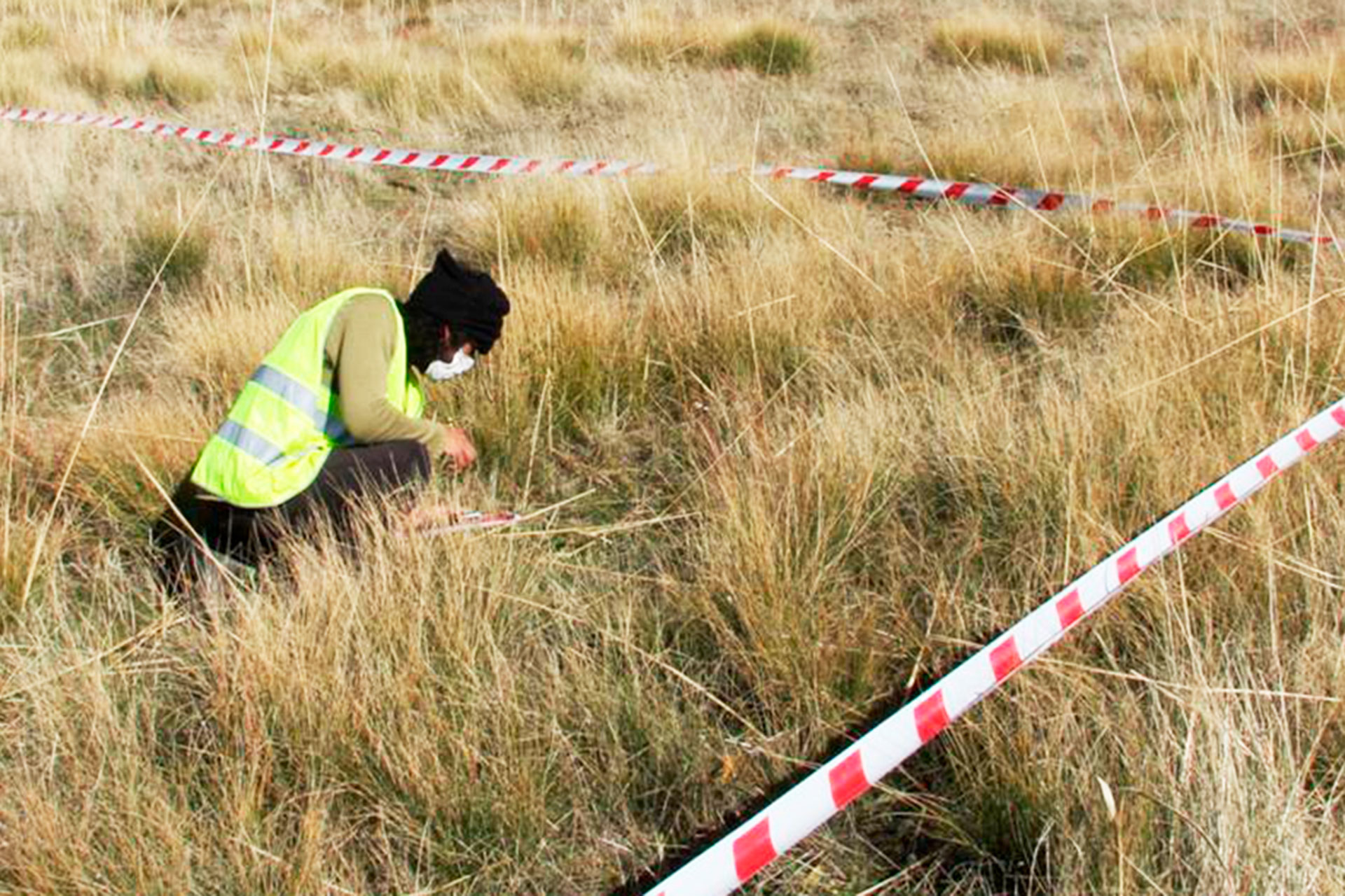 El arqueólogo Iván Aguilera durante las labores de prospección sobre el nuevo yacimiento. / E.A
