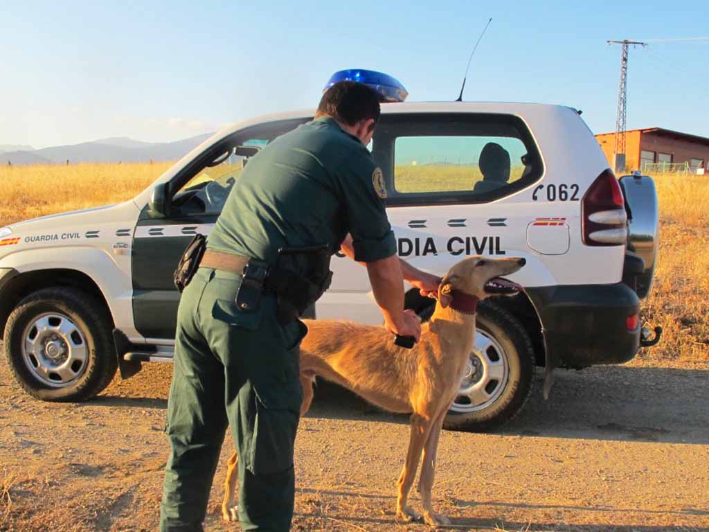 Los agentes, con un galgo. / EL ADELANTADO