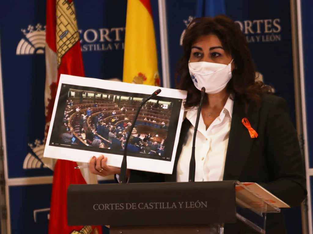 La procuradora segoviana de Ciudadanos Marta Sanz. / EL ADELANTADO