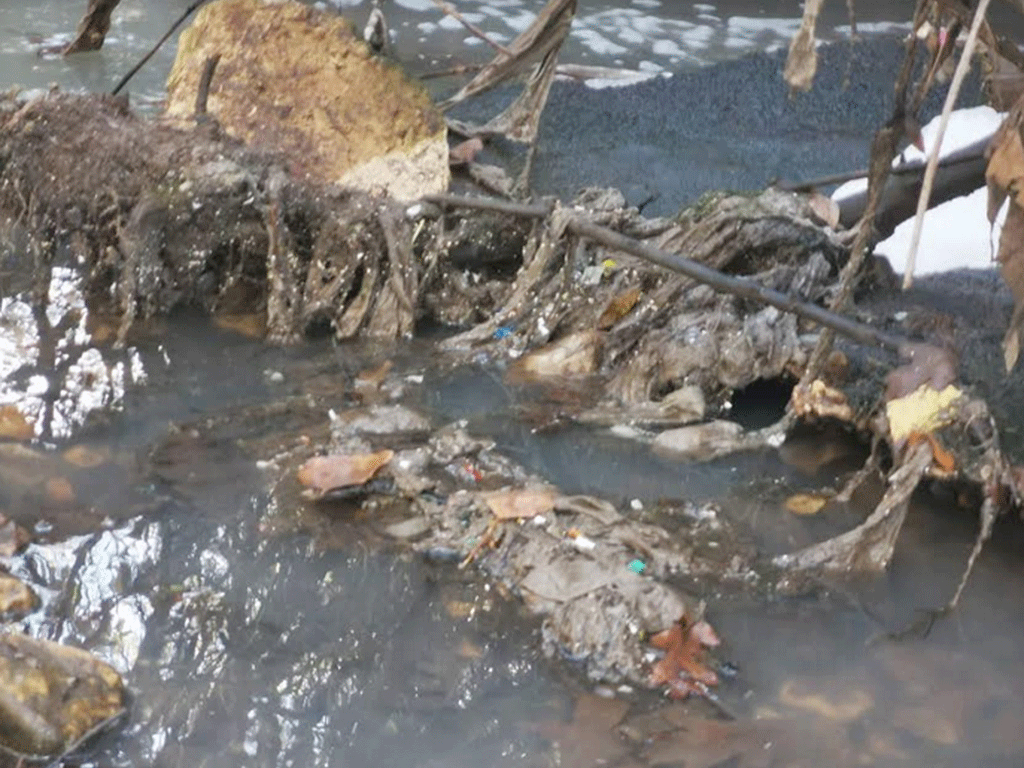 La RAS ha distribuido imágenes de los vertidos en el río Riaza. / EL ADELANTADO