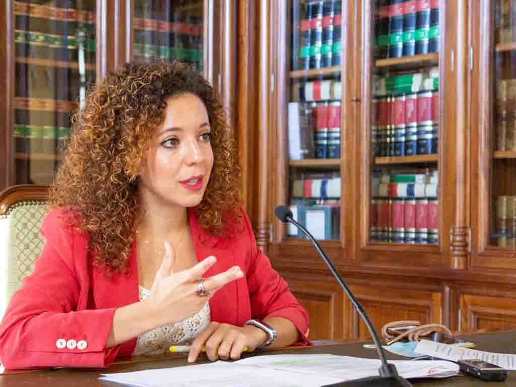 La portavoz de Ciudadanos en el Ayuntamiento de Segovia, Noemí Otero. / EL ADELANTADO