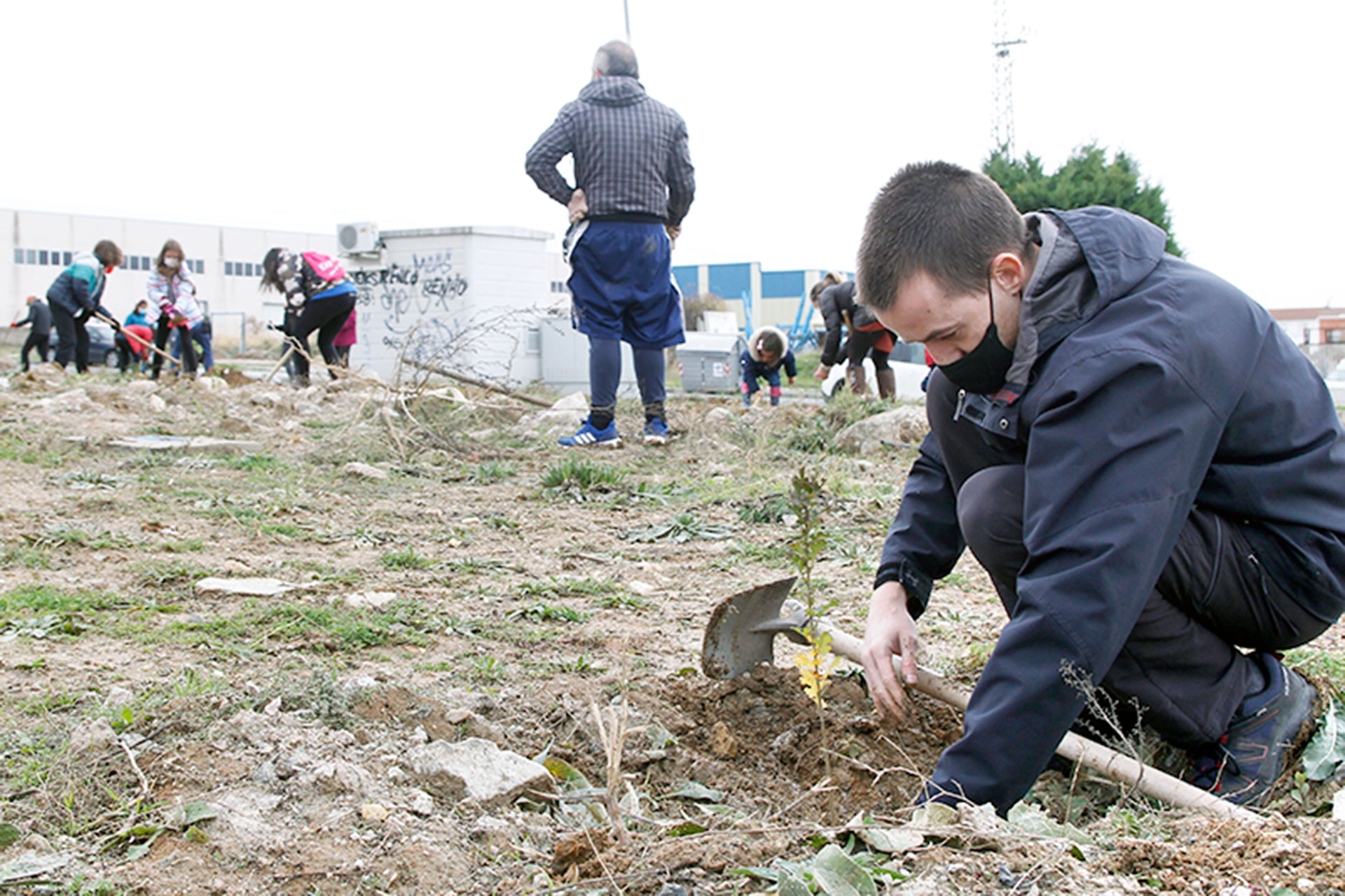 Plantación en la parcela del polígono de Hontoria el pasado día 7. / Nerea Llorente