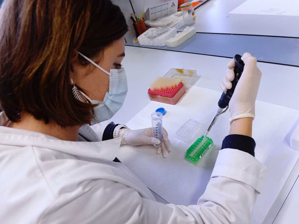 Científicos del Instituto de Biología y Genética Molecular (IBGM), centro mixto de la Universidad de Valladolid (UVa) y el Centro Superior de Investigaciones Científicas (CSIC), han presentado hoy martes los avances iniciales de los seis proyectos sobre la COVID-19 que ambos tienen en marcha, en Valladolid. EFE/NACHO GALLEGO