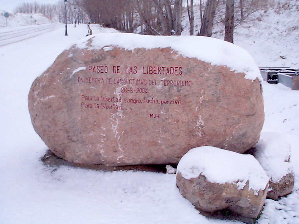 El nuevo parque se situará cerca del Paseo de las Libertades. / ÁLVARO PINELA