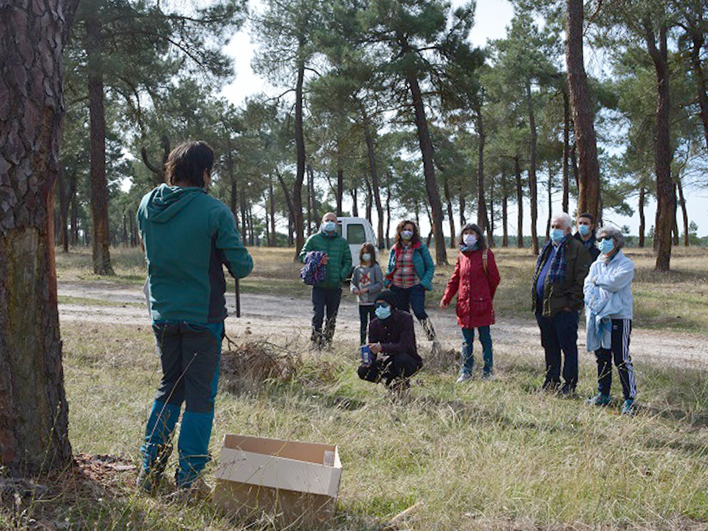 El oficio del resinero es uno de los sectores que también promueven Escuelas Campesinas. /E.A.