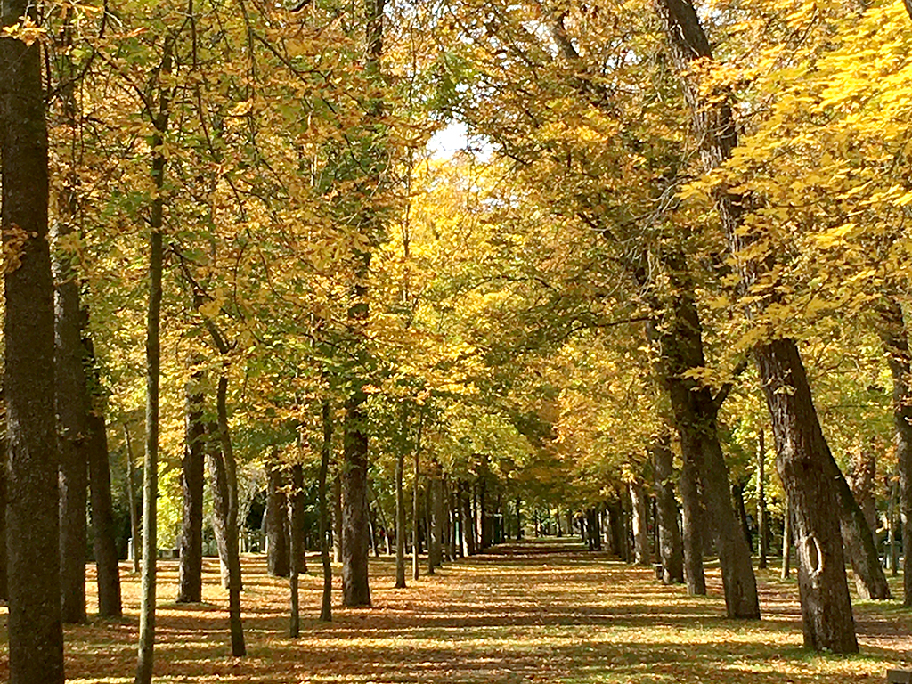 Vista de la Alameda del Parral. / EL ADELANTADO