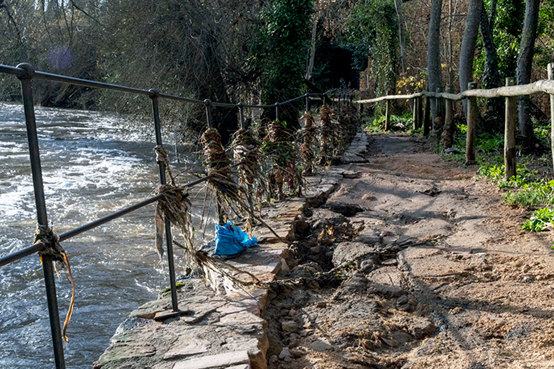 Alameda Eresma Casa Moneda Lluvia Inundaciones KAM2491