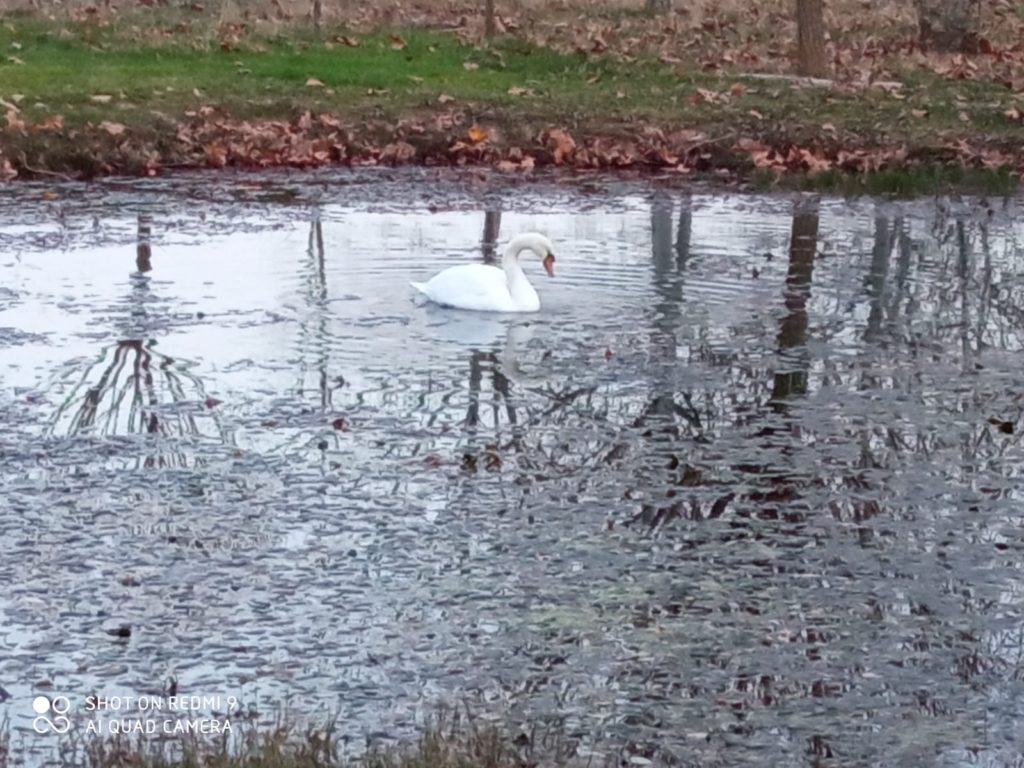 WhatsApp Image 2020 11 28 at 14.45.54 1