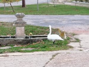 WhatsApp Image 2020 11 28 at 14.45.55