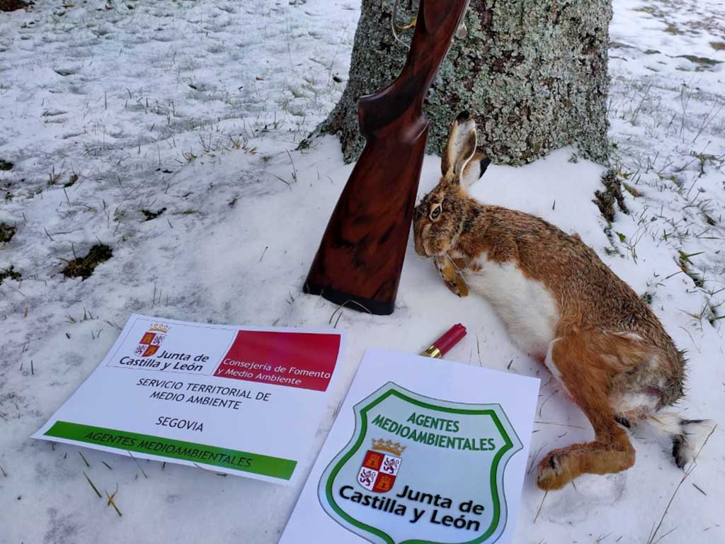 Pieza y arma decomisada por los Agentes. / EL ADELANTADO