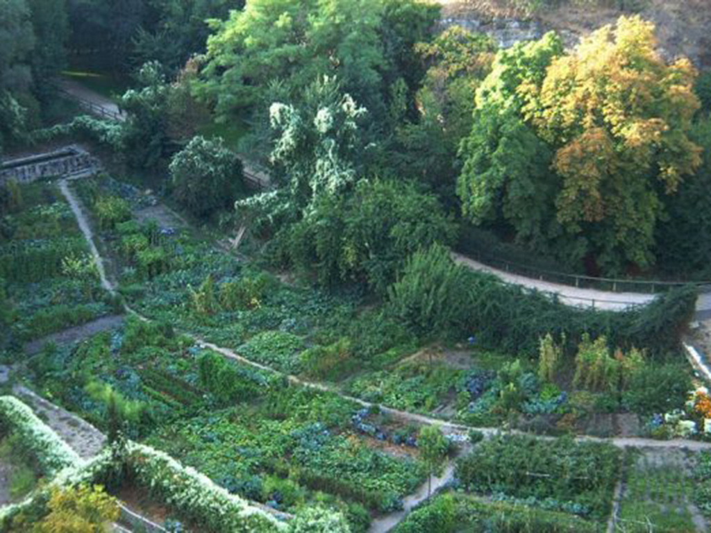Huertos municipales del paraje de La Hontanilla, en el valle del Clamores de la capital segoviana. / E. A.