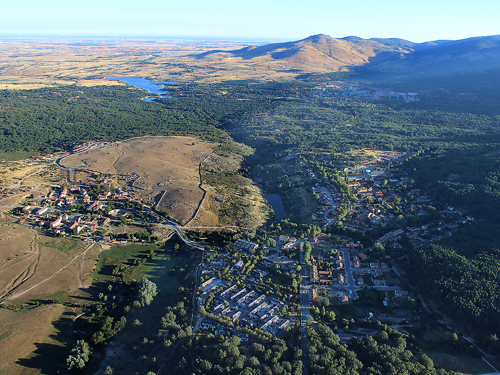 El Real Sitio registra una importante masa forestal. /JOSÉ LUIS MARTÍN MAYORAL