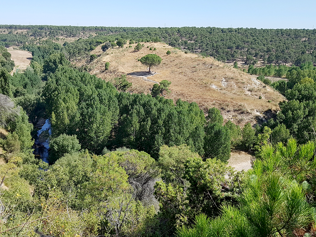 Los pobladores de las Peña del Moro conocían la riqueza del monte que les rodeaba. /E.A.