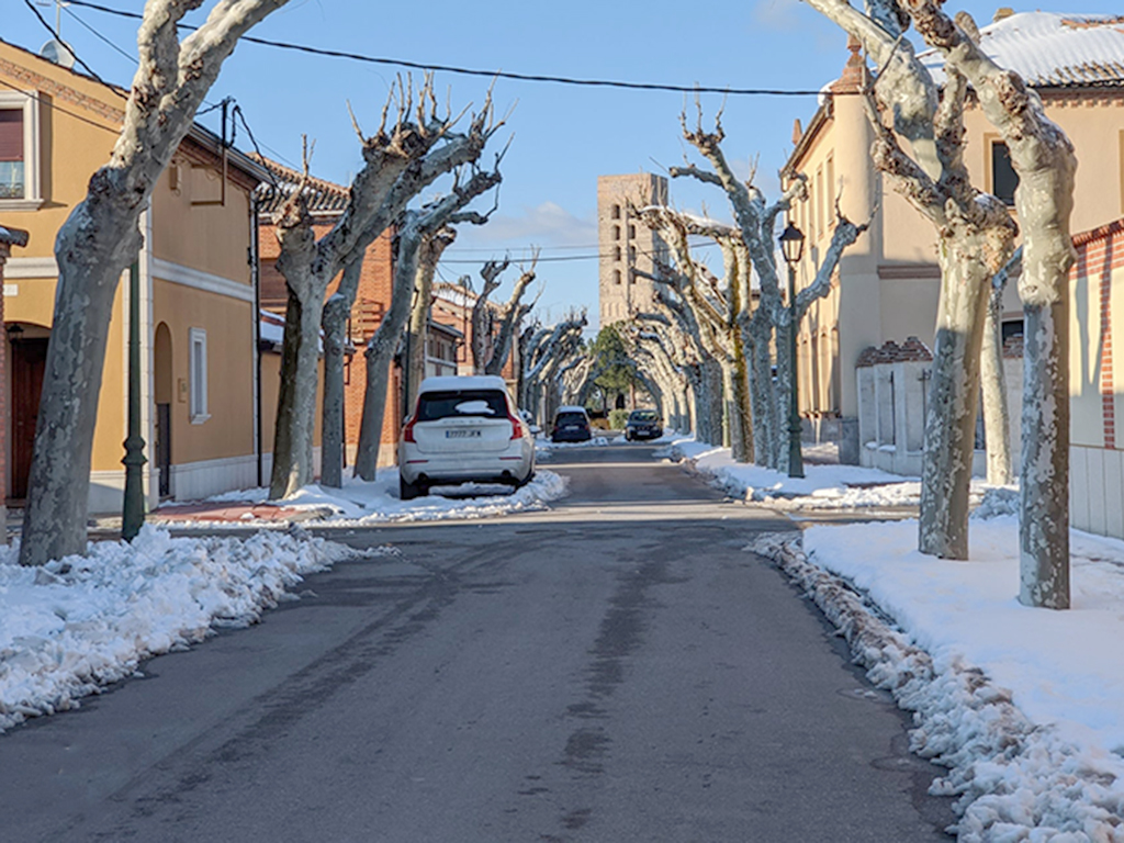 Una de las principales calles tras la limpieza. / David Rubio