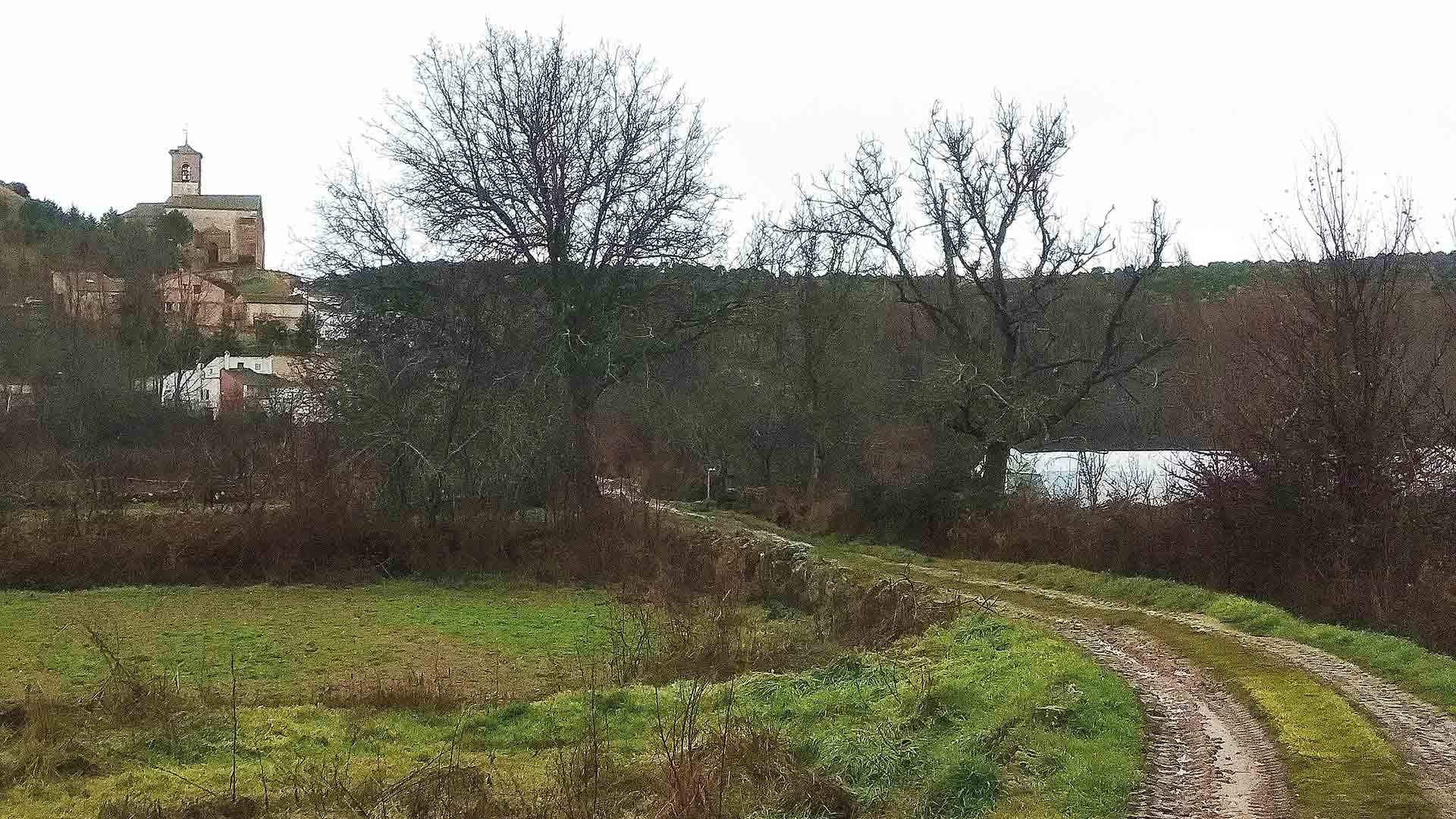 Vista parcial de la localidad en invierno con grandes nogales a la vera del camino.