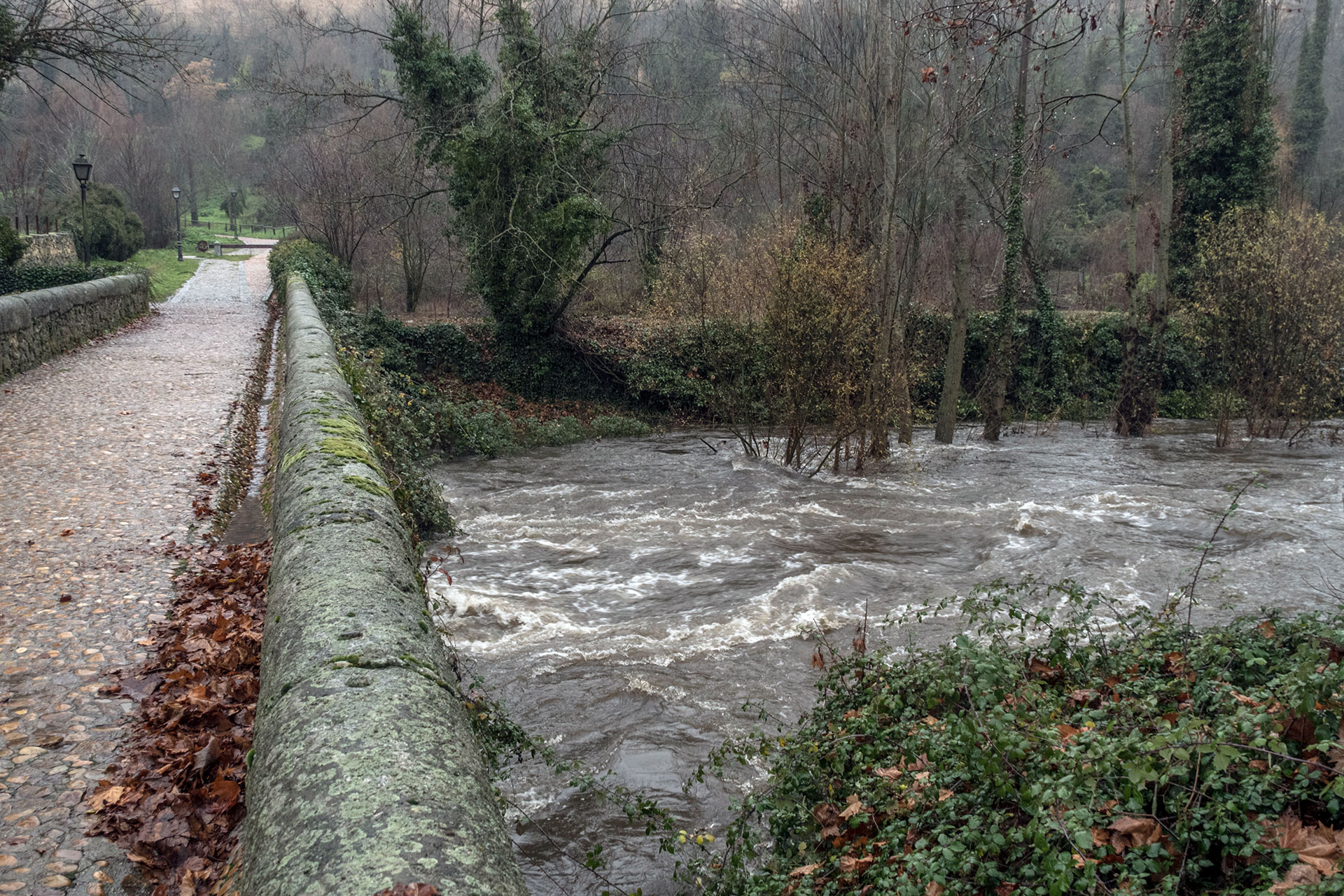 Crecida del río Eresma el pasado 12 de diciembre a su paso por la alameda del Parral. / Kamarero