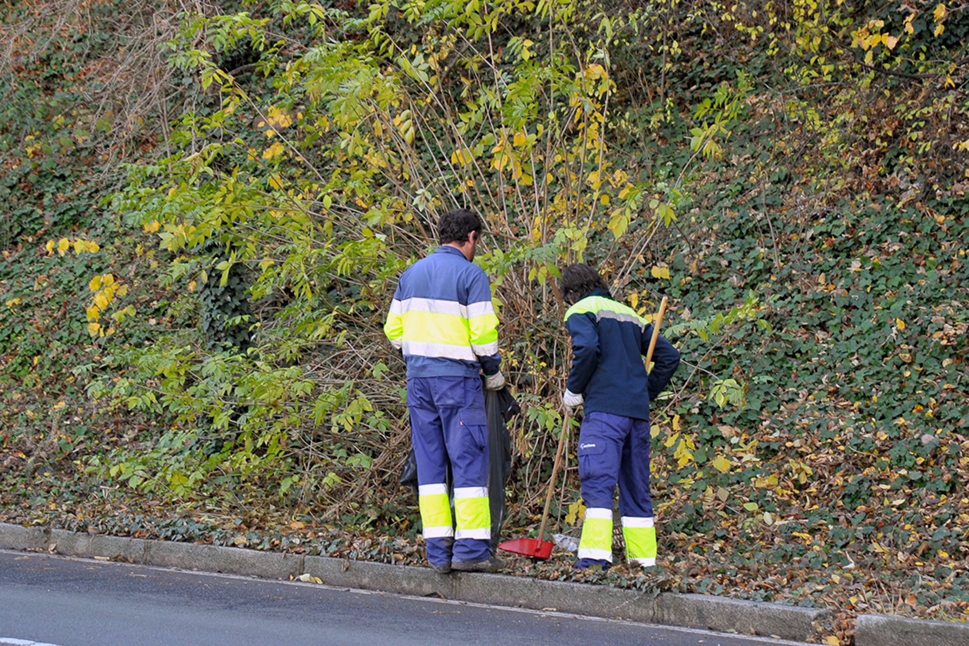 El procedimiento para contratar el servicio de mantenimiento de zonas verdes se paralizó en noviembre. / Kamarero