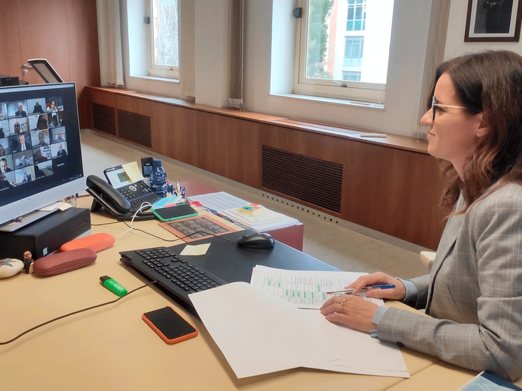 Apoyo institucional para las familias con bajos recursos 1 Ana Carlota Amigo, en una reunión telemática con el Consejo Regional de Economía Social./ EUROPA PRESS