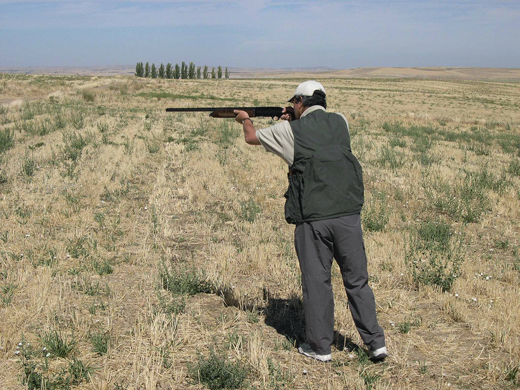 La actividad cinegética en la región supone uno de los activos económicos y medioambientales más importantes. / EL ADELANTADO