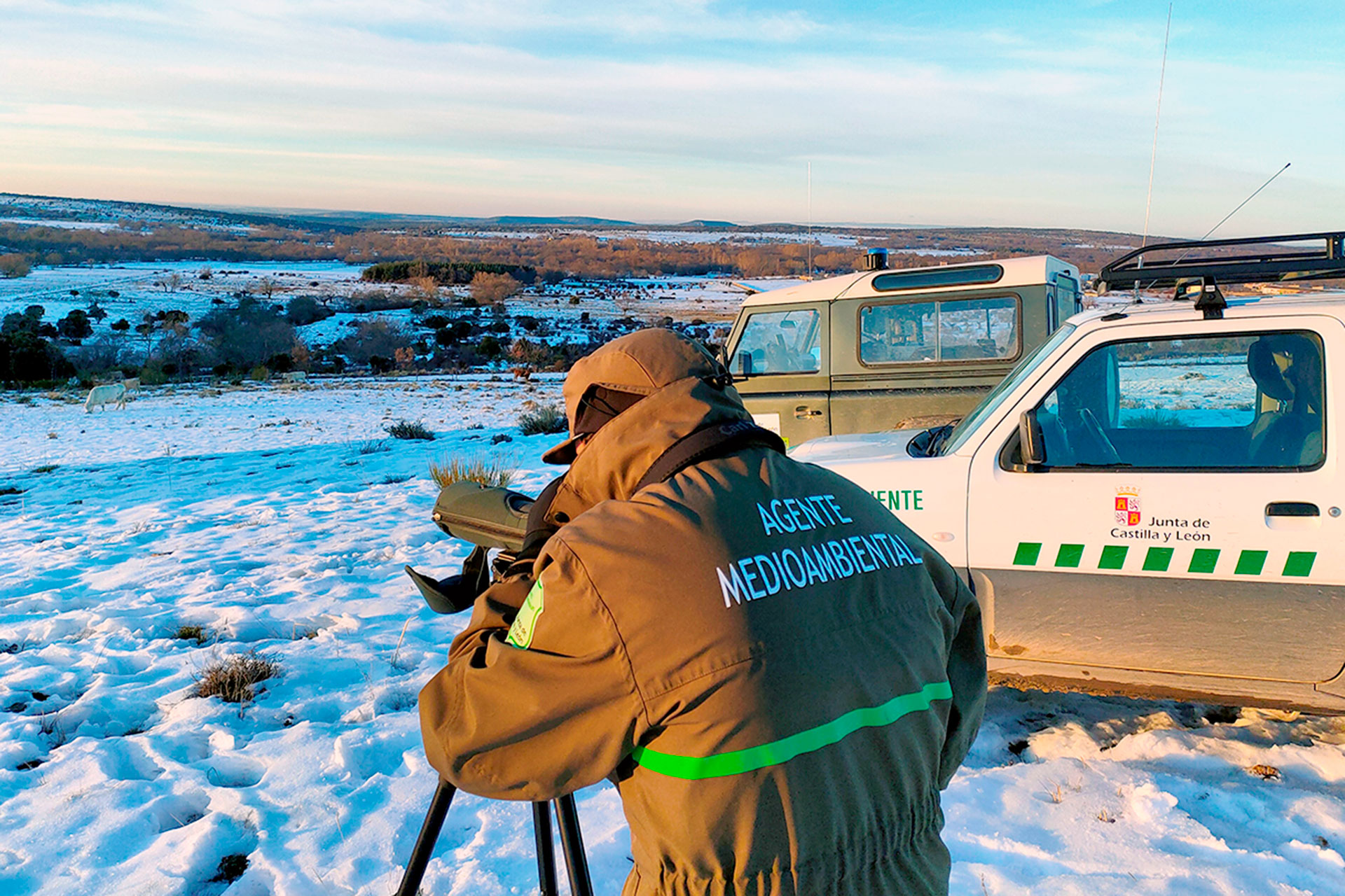 Un agente medioambiental, realizando labores de observación. / EL ADELANTADO