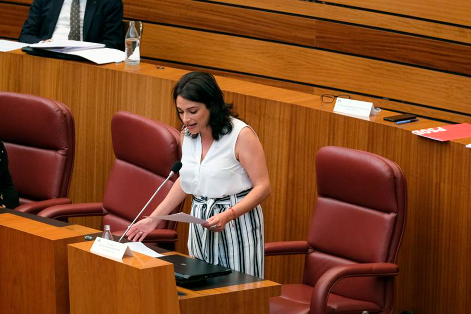 Alicia Palomo interviene en las Cortes de Castilla y León. / EL ADELANTADO